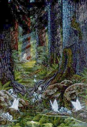 Fairy Forest by Diana Elizabeth Stanley